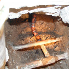 Cockatoo Grove Slab Leak Repairs